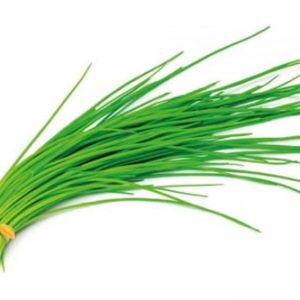 Cibulette