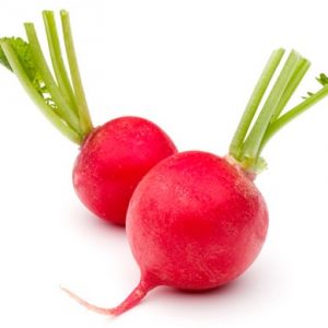 Rabanito